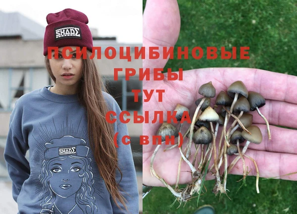 гидропоника Аркадак